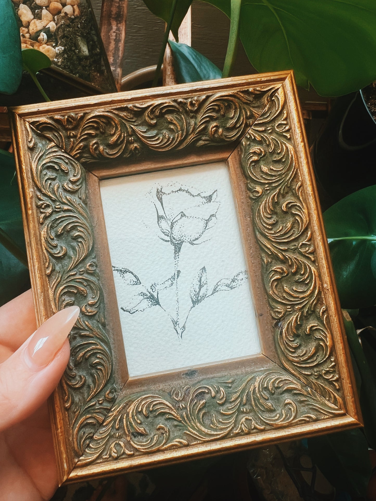 Framed Pointillism Rose