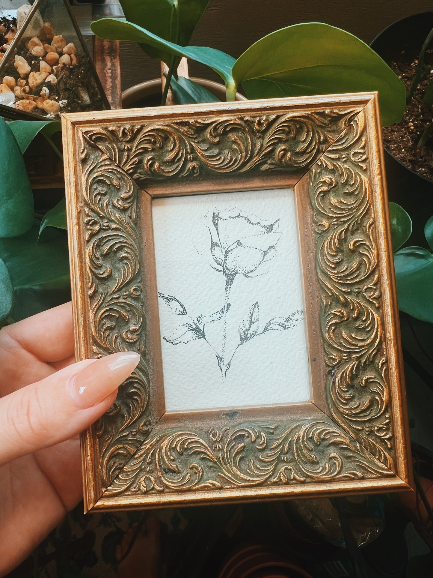 Framed Pointillism Rose